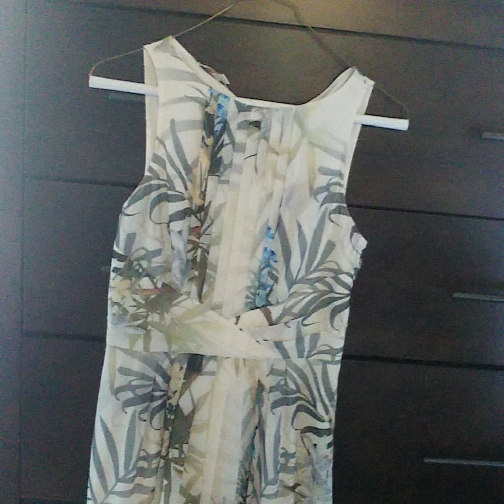 Ted Baker Ameda Twilight Floral Pleat Dres…